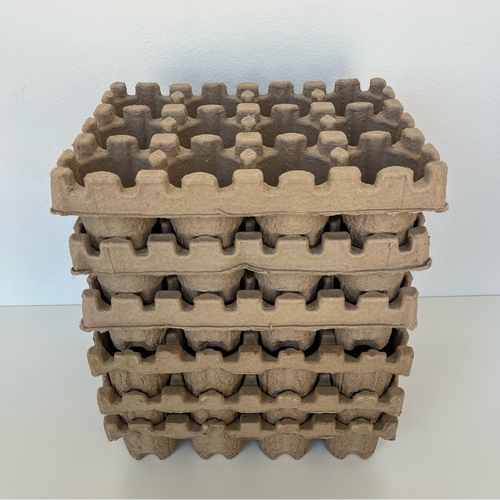 Beer Can Shipping Trays, Pack of 6